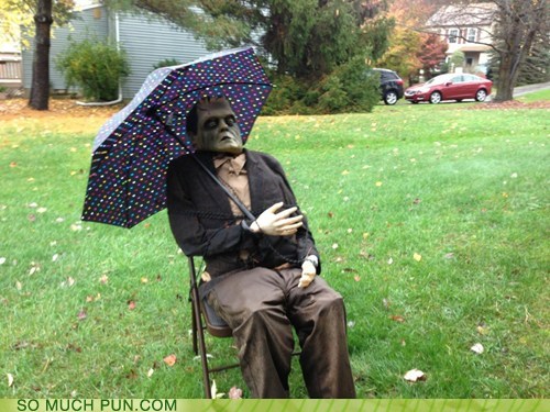 FRANK-IN-STORM