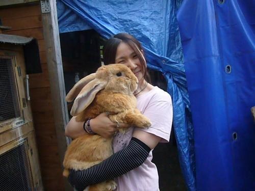 Bunday: Big Bunny Hugs