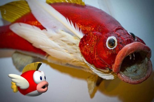 Real Life Cheep Cheep