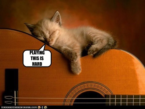 GUITAR CAT