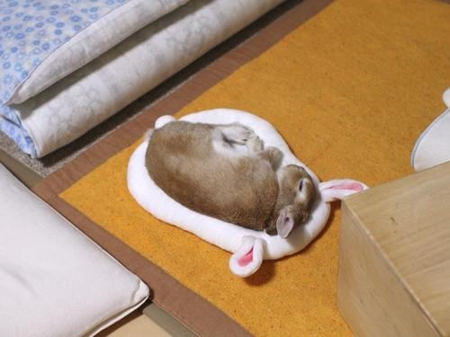 Bunday: Bunception 