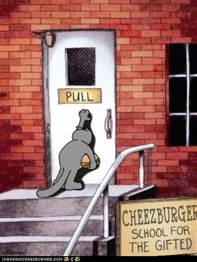How Me a Happycat Learned Doors