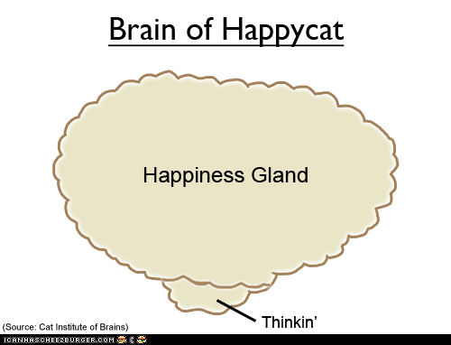 Happycat's Brain