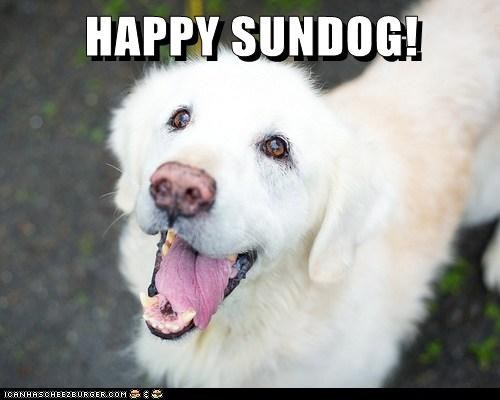 Happy Sundog! 