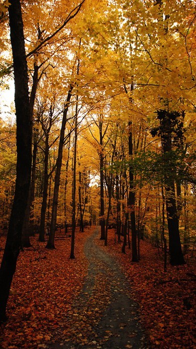 Can it Be Fall Forever, Please?