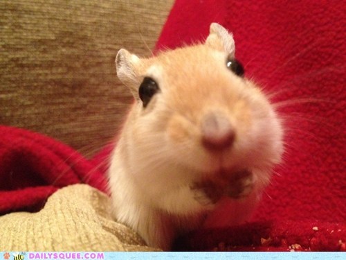 A Peanut? For Me?!
