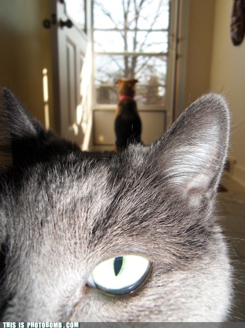 Hey, Whachoo Doin'?