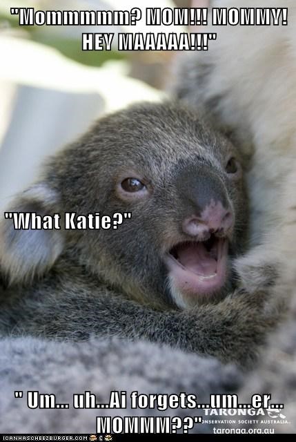 "Mommmmm? MOM!!! MOMMY! HEY MAAAAA!!!" "What Katie?" " Um... uh...Ai forgets...um...er... MOMMM??"