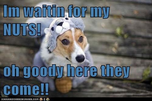Im waitin for my NUTS!  oh goody here they come!!