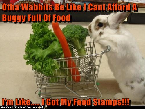Otha Wabbits Be Like I Cant Afford A Buggy Full Of Food  I'm Like..... I Got My Food Stamps!!!