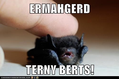 Ermahgerd! Splert!