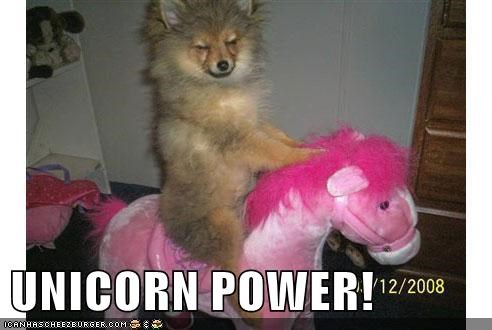 UNICORN POWER!