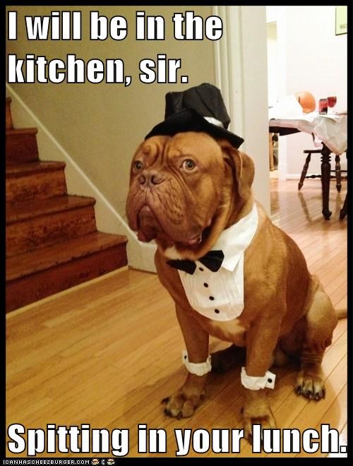 You Sir, are rude...