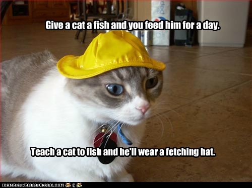 I's the cat what builds teh boat...