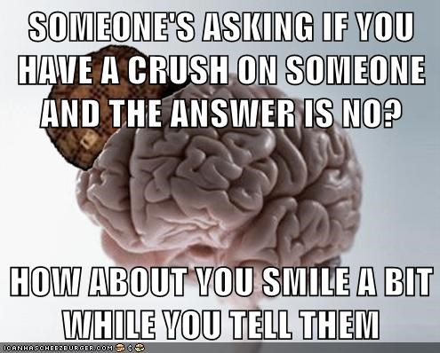 SOMEONE'S ASKING IF YOU HAVE A CRUSH ON SOMEONE AND THE ANSWER IS NO?  HOW ABOUT YOU SMILE A BIT WHILE YOU TELL THEM