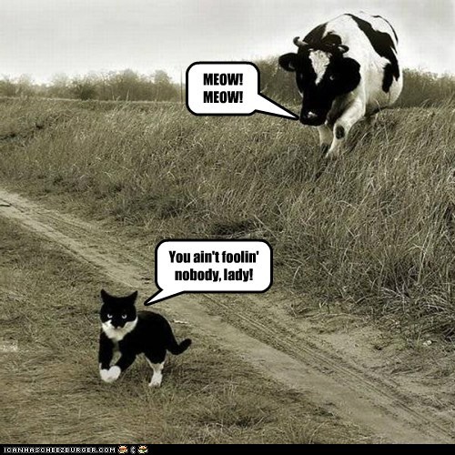 Udder Deception