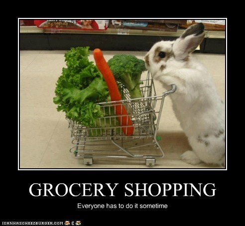 GROCERY SHOPPING