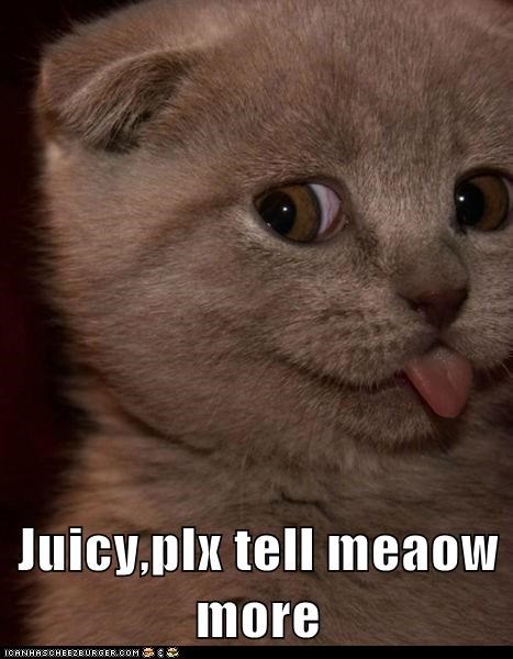 Juicy,plx tell meaow more
