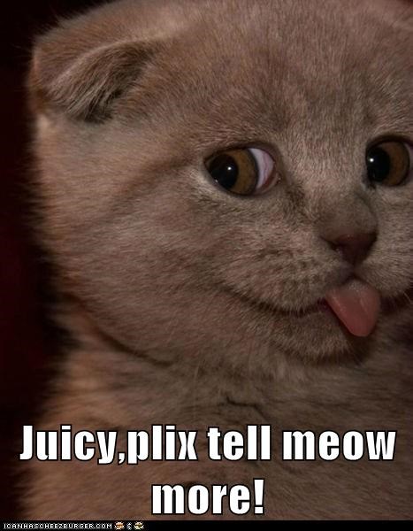 Juicy,plix tell meow more!
