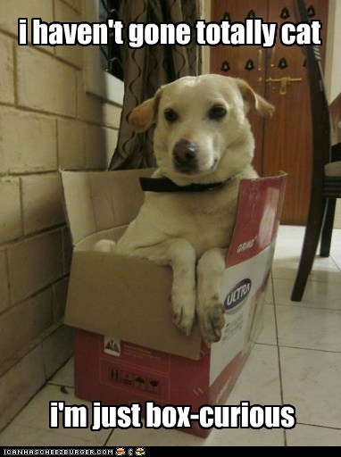 To Each His Bone