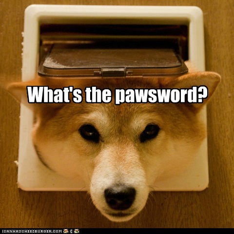 Can't let you in, unless you say "Dogfish."