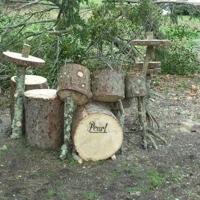 Deciduous Drums