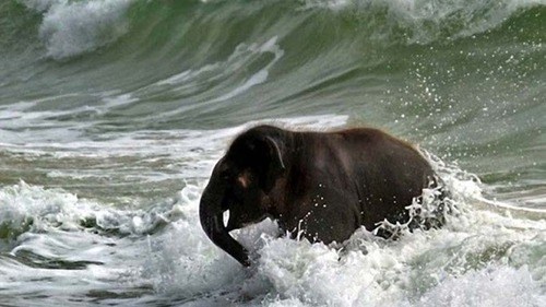 Catching a Wave 