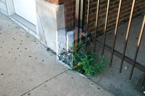 Transparent Street Art WIN