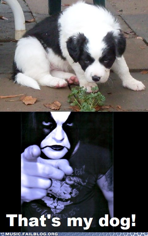 Abbath Approves of This Puppy