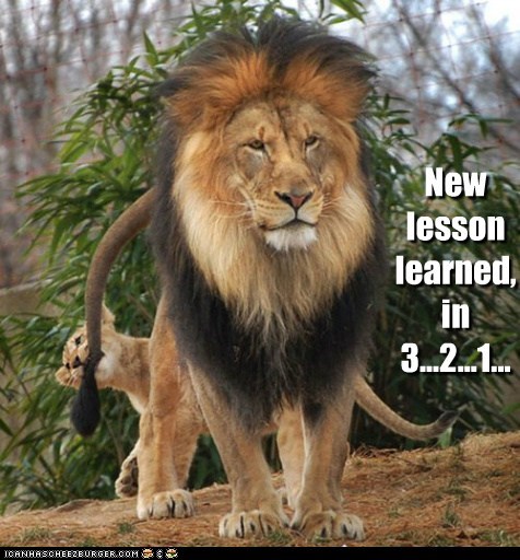 Call It a Teachable Moment