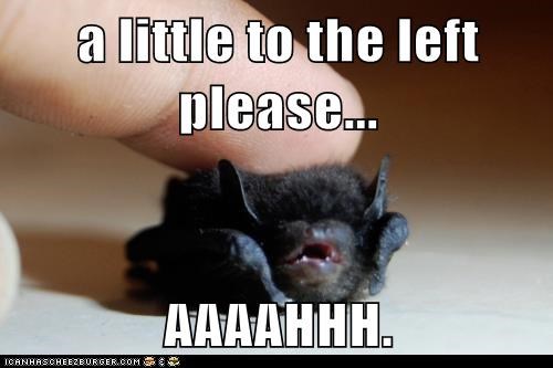 a little to the left please...  AAAAHHH.