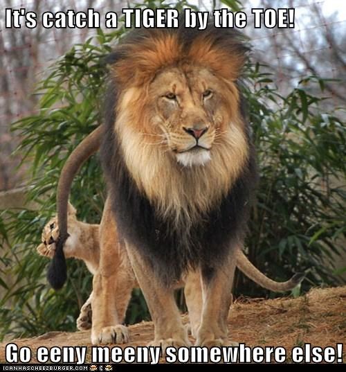 I Think I Saw Some Tigers About 10 Miles Away