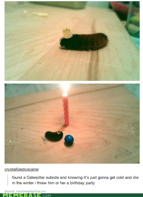 I Threw it a Birthday Party