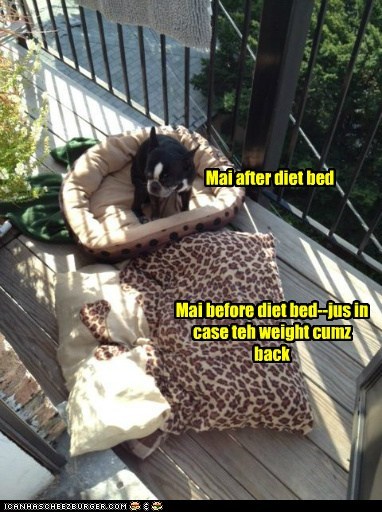 Goggie yoyo dieting concern