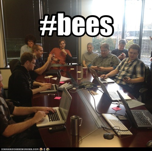 Tweet me about #bees