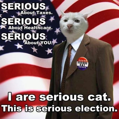 The Day After the Election: Why Didn't This Guy Win Again?