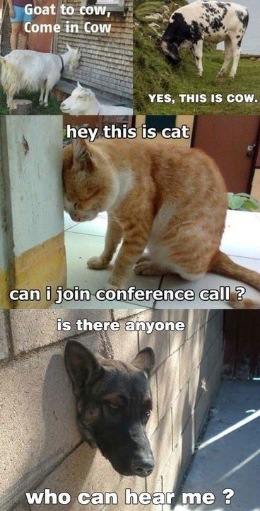 Reframe: Conference Call