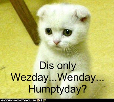Kant wait fur Caturday!