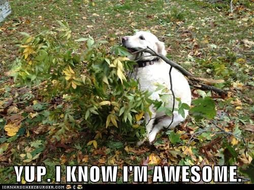 YUP. I KNOW I'M AWESOME.