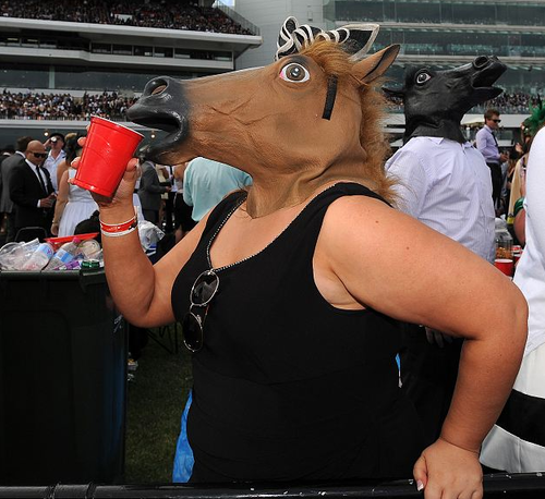 Party Horse Plays Hard