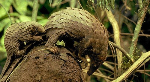 Squee Spree: Along for the Ride 