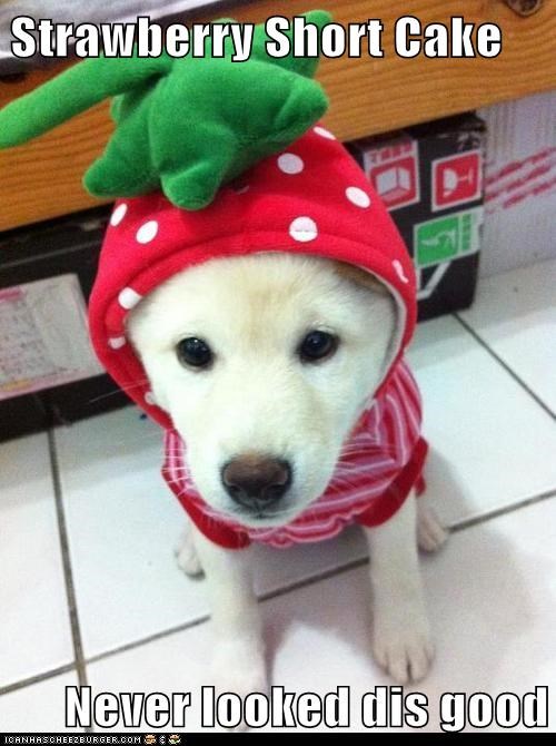 Strawberry Short Cake