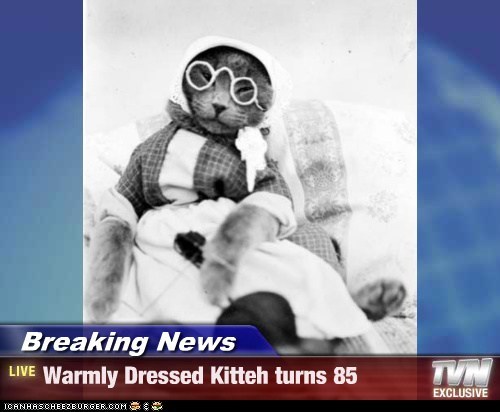 Breaking News - Warmly Dressed Kitteh turns 85