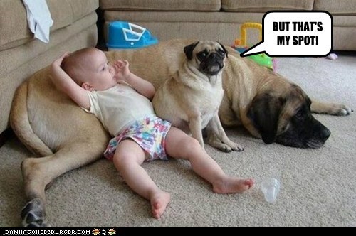 BUT THAT'S MY SPOT!
