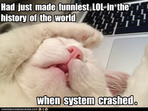 Had just made funniest  LOL...