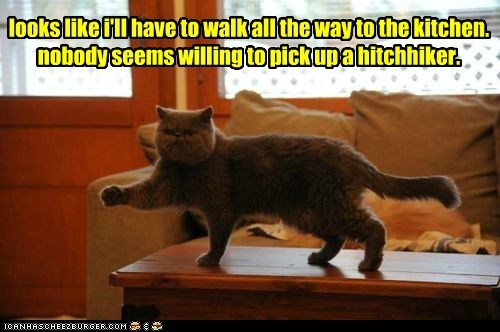 looks like i'll have to walk