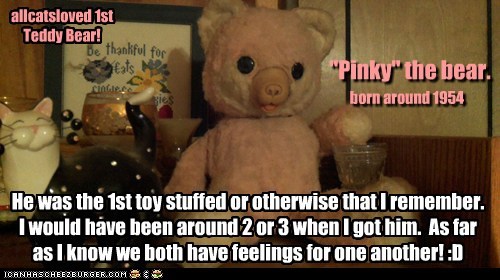 Allcats 1st Teddy Bear