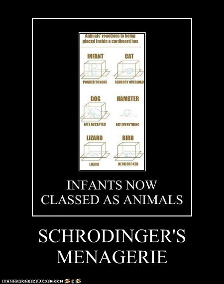 SCHRODINGER'S MENAGERIE