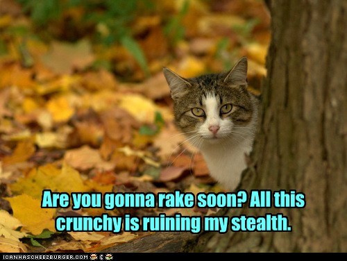 They hear me coming!