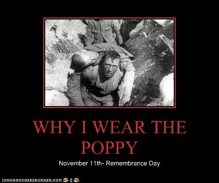 WHY I WEAR THE POPPY